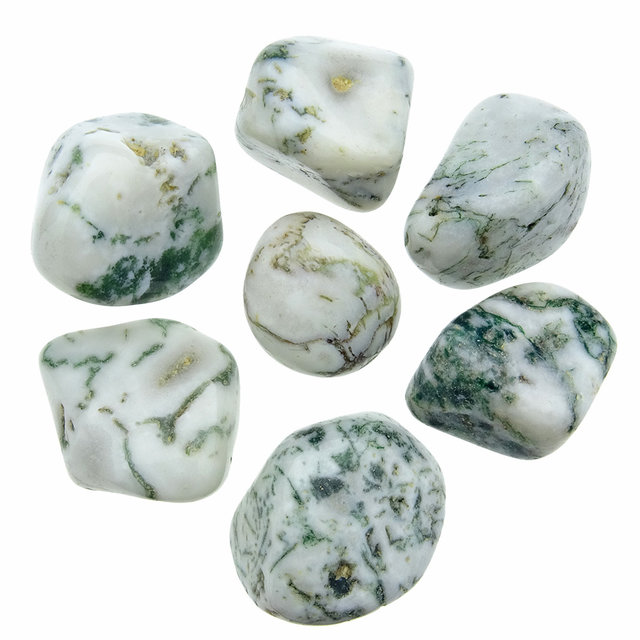 Beautiful tumbled tree agate Beautiful tumbled tree agate