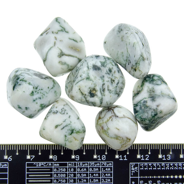 Beautiful tumbled tree agate Beautiful tumbled tree agate