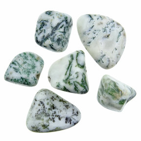 Tree agate, 6 stones
