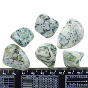 Beautiful tumbled tree agate Beautiful tumbled tree agate