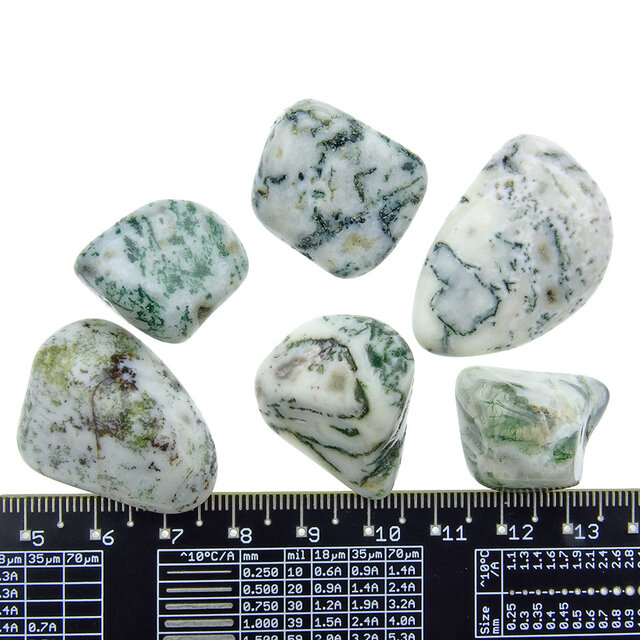 Beautiful tumbled tree agate Beautiful tumbled tree agate