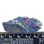 Borniet of pauwenerts Borniet of pauwenerts