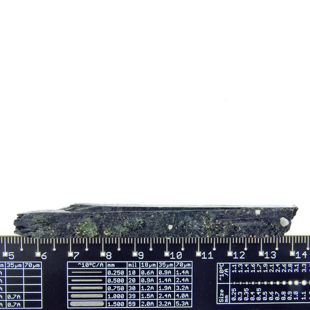 Aegirien uit Zomba Malosa, Malawi