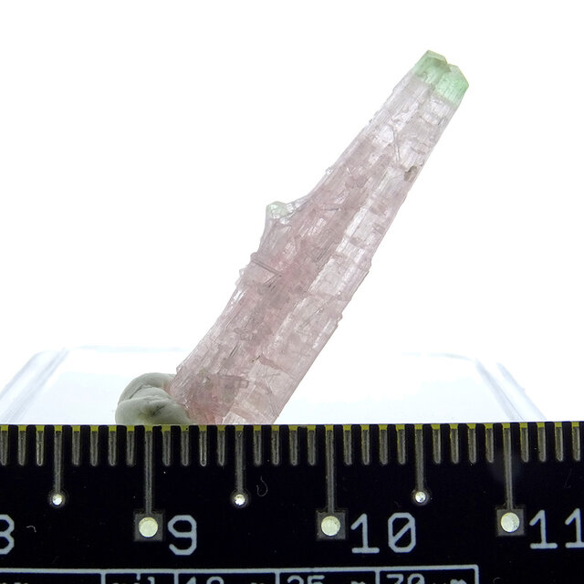 Beautiful Bi-Color tourmaline from Paprok Afghanistan Beautiful Bi-Color tourmaline from Paprok Afghanistan
