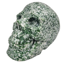 Tree agate skull