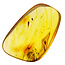 Baltic Amber with enclosed insect