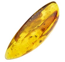 Baltic Amber with enclosed mosquito