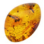 Baltic Amber with enclosed ant