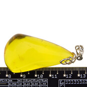 Baltic amber pendant