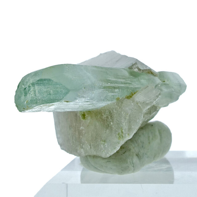 Der meerblaue Edelstein Der meerblaue Edelstein