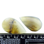 Agate drops form Madagascar
