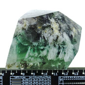Fluoriet Free Form Fluoriet Free Form