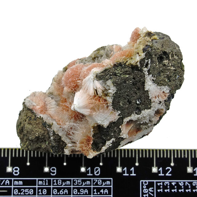 Thomsonite with Mesolite