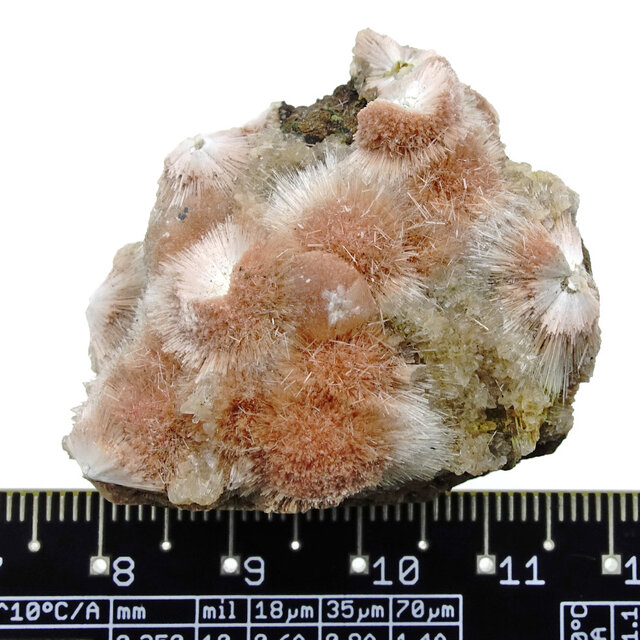 Thomsonite with Mesolite