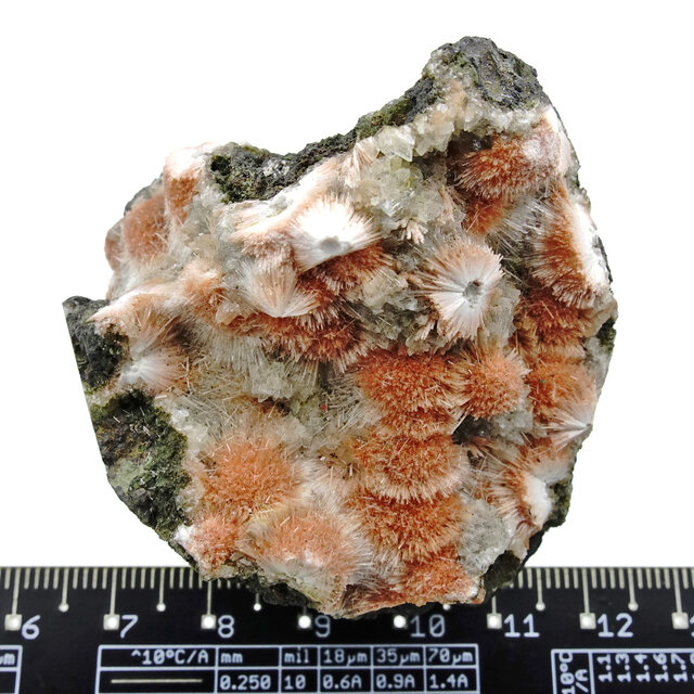 Thomsonite with Mesolite