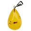 Baltic amber pendant