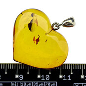 Baltic amber pendant Baltic amber pendant
