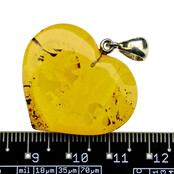 Baltic amber pendant Baltic amber pendant