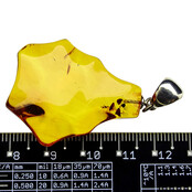 Baltic amber pendant Baltic amber pendant