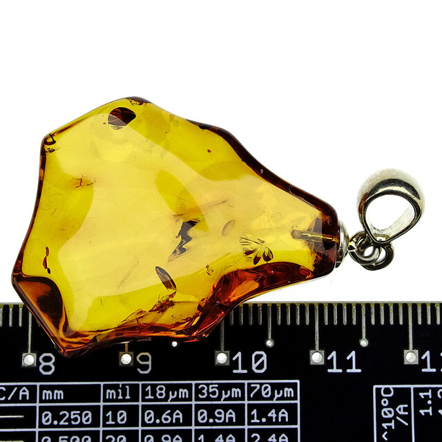 Baltic amber pendant Baltic amber pendant