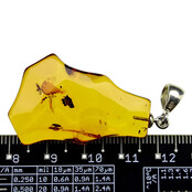 Baltic amber pendant Baltic amber pendant