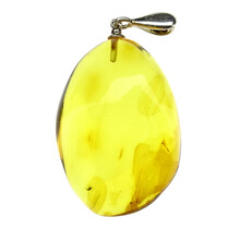 Baltic amber pendant with enclosed insect