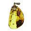 Baltic amber pendant with enclosed insect