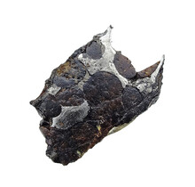 Pallasite meteorite from Habaswein Kenya