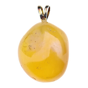 Carnelian pendant with silver eye