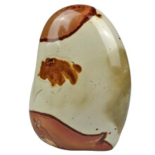 Polychrome Jasper