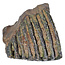 100,000 year old Mammoet molar, 830 grams