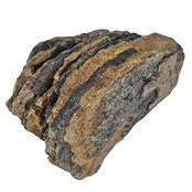 100.000 Jahre alter Mammoet-Backenzahn, 720 Gramm 100.000 Jahre alter Mammoet-Backenzahn, 720 Gramm
