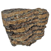 100,000 year old Mammoet molar, 720 grams 100,000 year old Mammoet molar, 720 grams