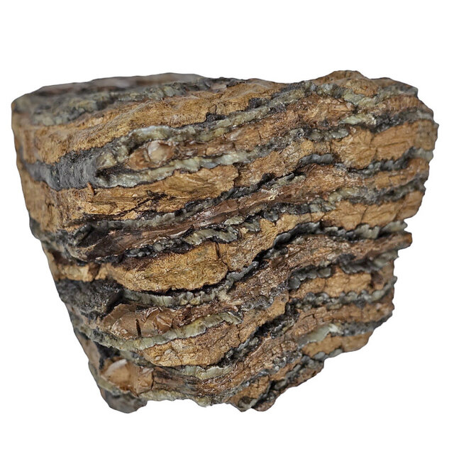 100.000 Jahre alter Mammoet-Backenzahn, 720 Gramm 100.000 Jahre alter Mammoet-Backenzahn, 720 Gramm