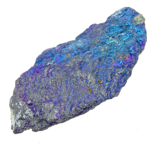 Borniet of pauwenerts Borniet of pauwenerts