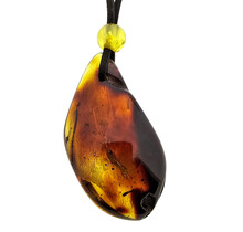 Beautiful pierced Baltic amber pendant with cord