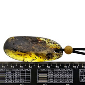 Beautiful pierced Baltic amber pendant with cord Beautiful pierced Baltic amber pendant with cord