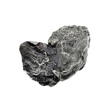 Sikhote-Alin, a nickel iron meteorite