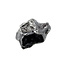 Sikhote-Alin, een nikkel ijzer meteoriet
