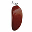 Beautiful red jasper pendant