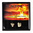 Trinitite is a remnant of the very first nuclear explosion