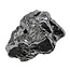 Iron meteorite crystal