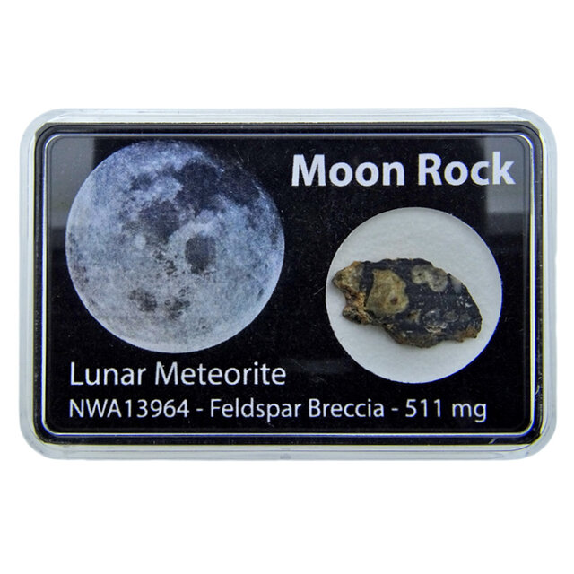 Maan meteoriet - NWA 13964 Nieuwe vondst! Maan meteoriet - NWA 13964 Nieuwe vondst!