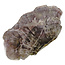 Auralite with powerful energy