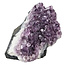 Amethyst, from calming properties to deep transformations, 775 grams
