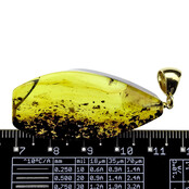 Baltic amber pendant gold plated Baltic amber pendant gold plated