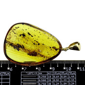 Baltic amber pendant gold plated