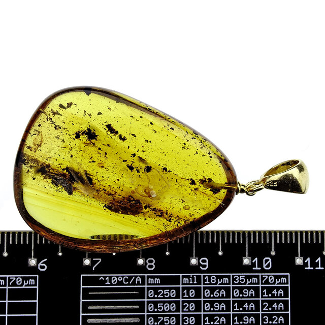 Hanger van Baltisch Barnsteen verguld zilver