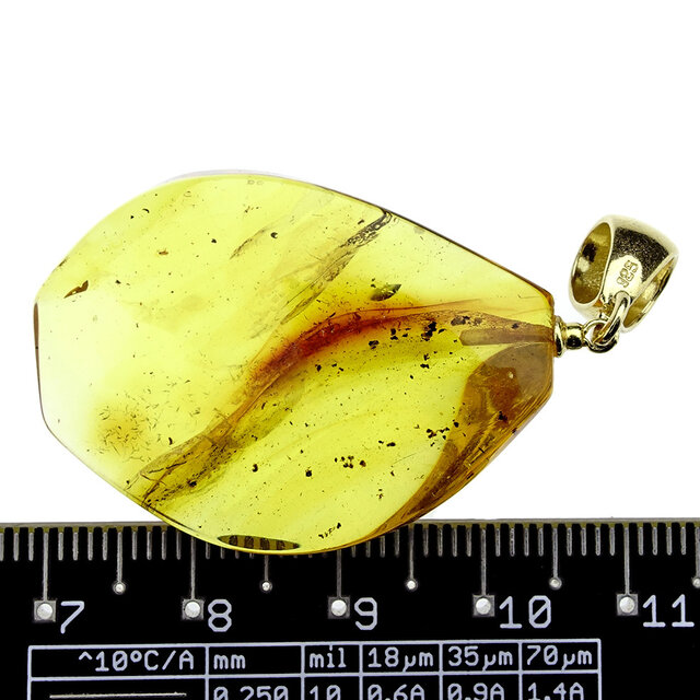 Hanger van Baltisch Barnsteen verguld zilver Hanger van Baltisch Barnsteen verguld zilver