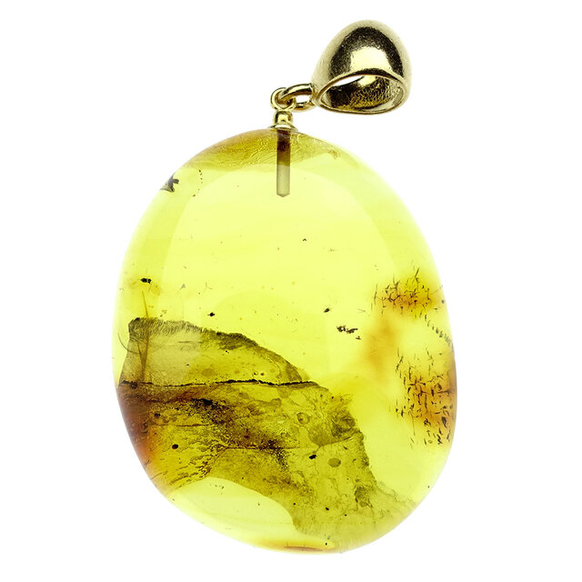 Baltic amber pendant gold plated Baltic amber pendant gold plated